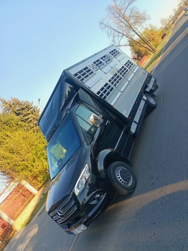 Samochód transportowy